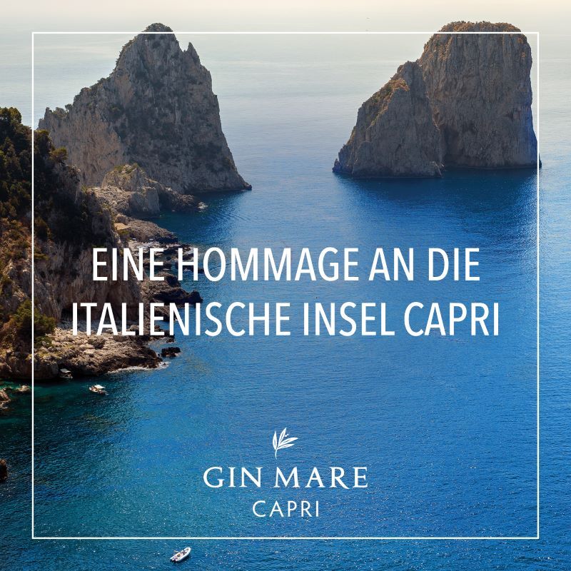 Gin Mare Capri 42,7 Vol.%