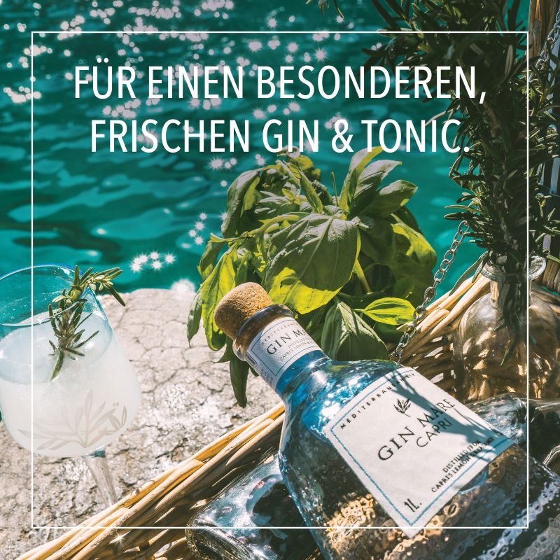Gin Mare Capri 42,7 Vol.%