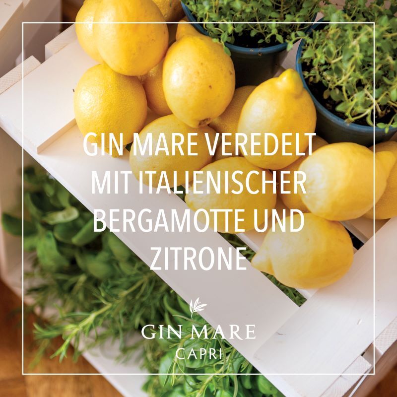 Gin Mare Capri 42,7 Vol.%